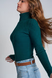 Soft Knitted Turtleneck Fitted Sweater in Green