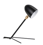 Sergio Cocotte Desk Lamp